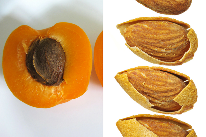 apricot kernel same almond