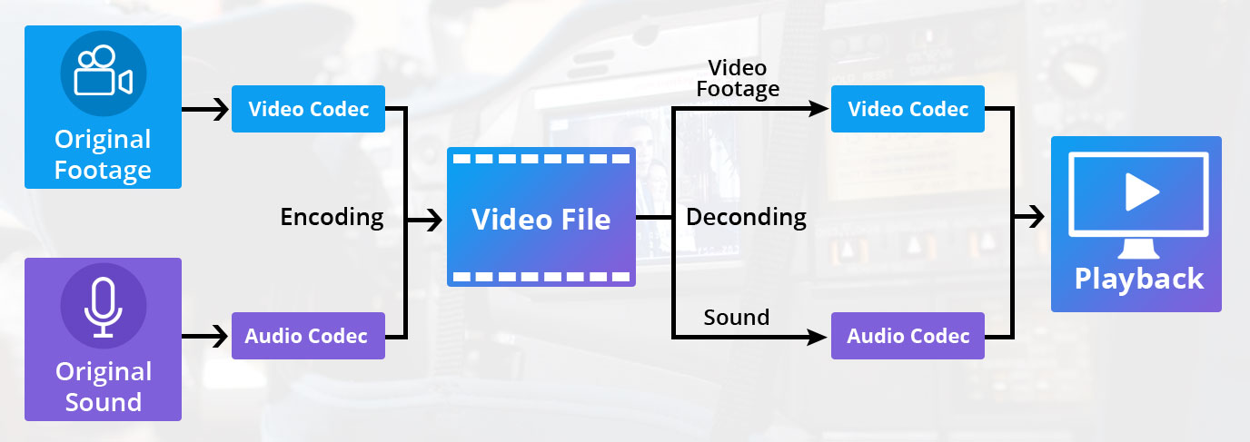 codec for all videos