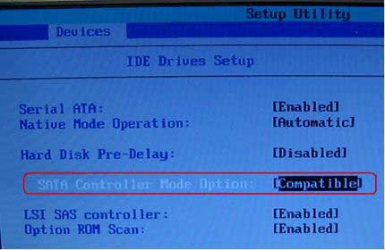 compatability form in bios