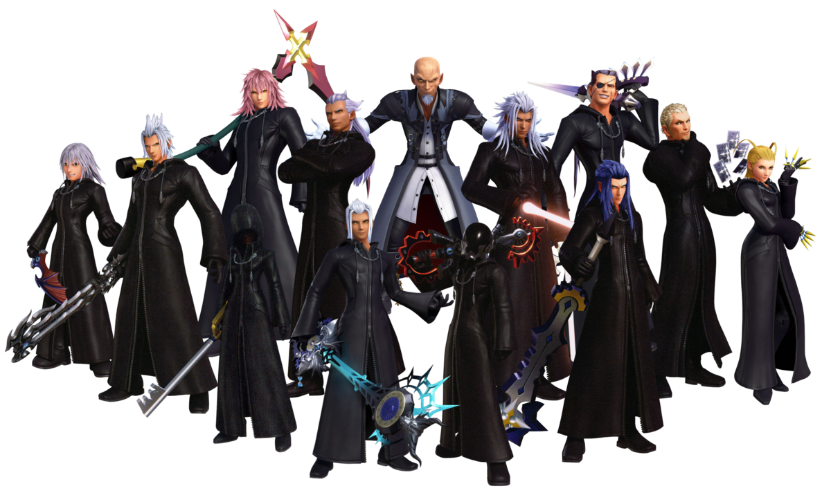 Kingdom Hearts Organization 14 Bios