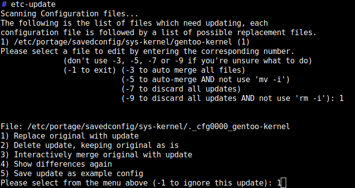 optimize kernel gentoo