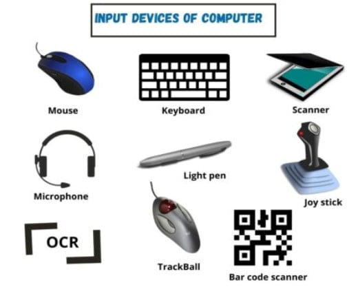 what input device is used to type on a computer